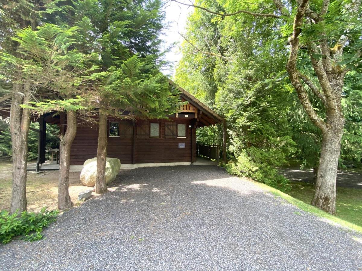 Le Renard Chalet En Bois La Bresse Exterior photo